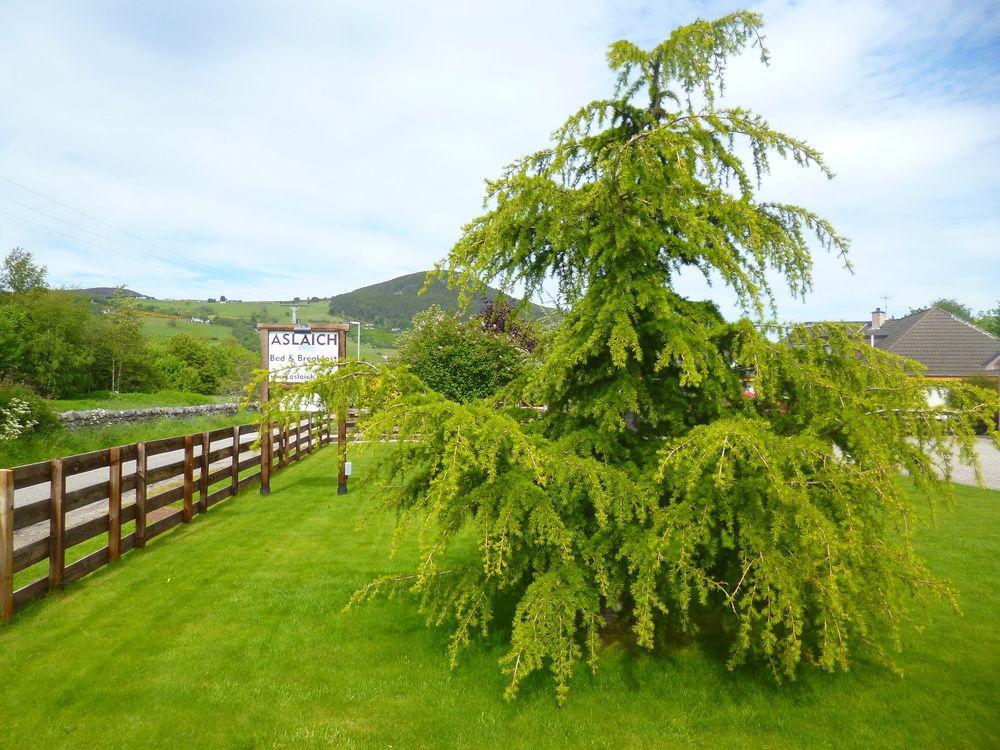 Aslaich Drumnadrochit Exterior foto